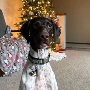 Meet your Posher, Kristen